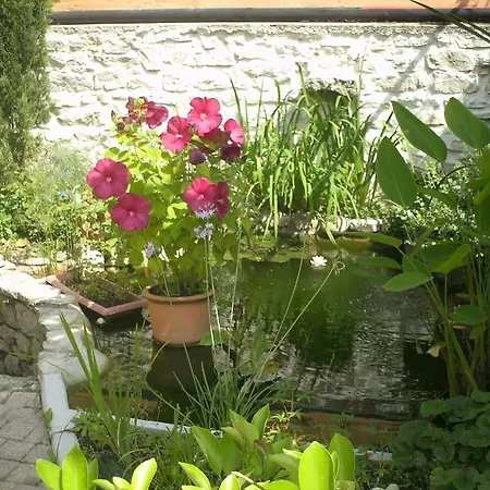 La Maison Des Grenouillettes Bed & Breakfast